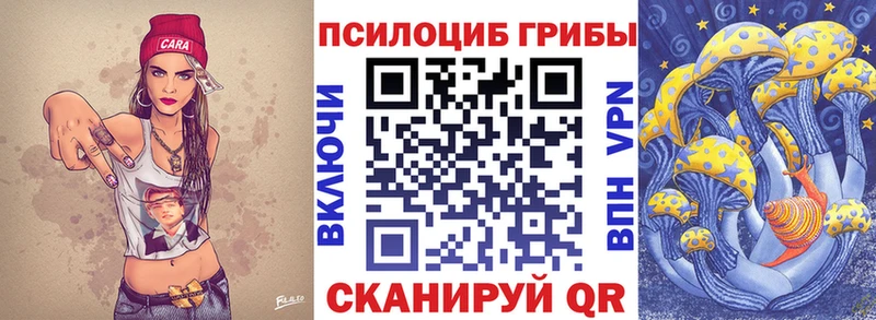 Псилоцибиновые грибы Psilocybine cubensis  Купить где  Юрга 